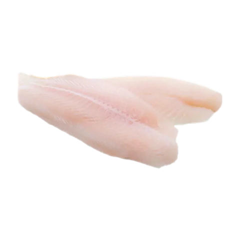 Fish of the Week 2 x 250g -Saddletail Snapper