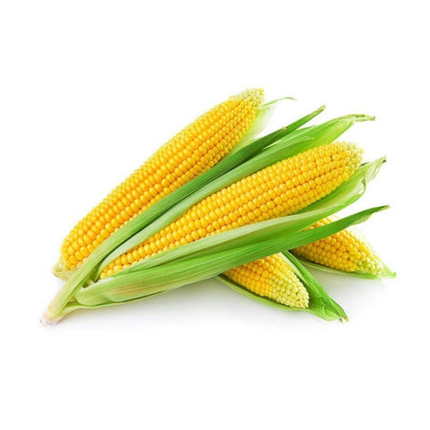 Corn in Husk each