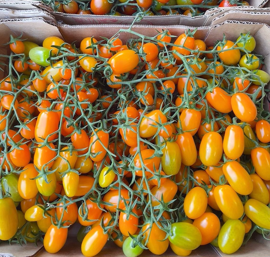 yellow-vine-tomatoes-500g-1