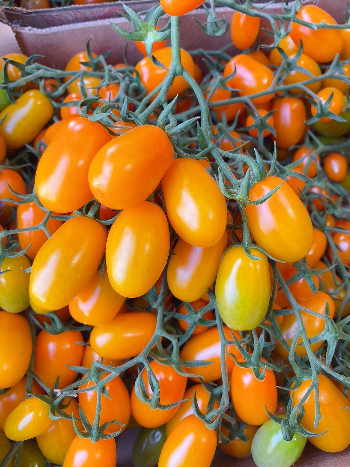 yellow-vine-tomatoes-500g-1