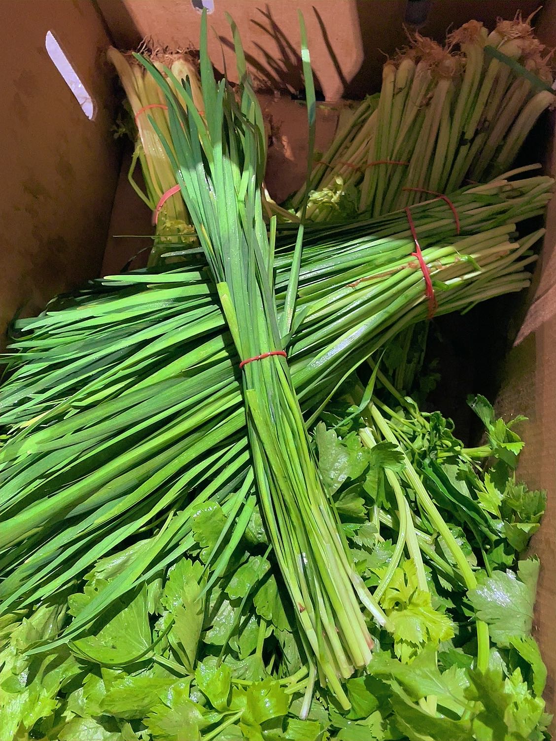 fresh-bundle-of-chives-pack-of-2-1