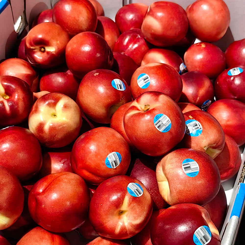 Fresh-White-Nectarines---1-1.1kg-1