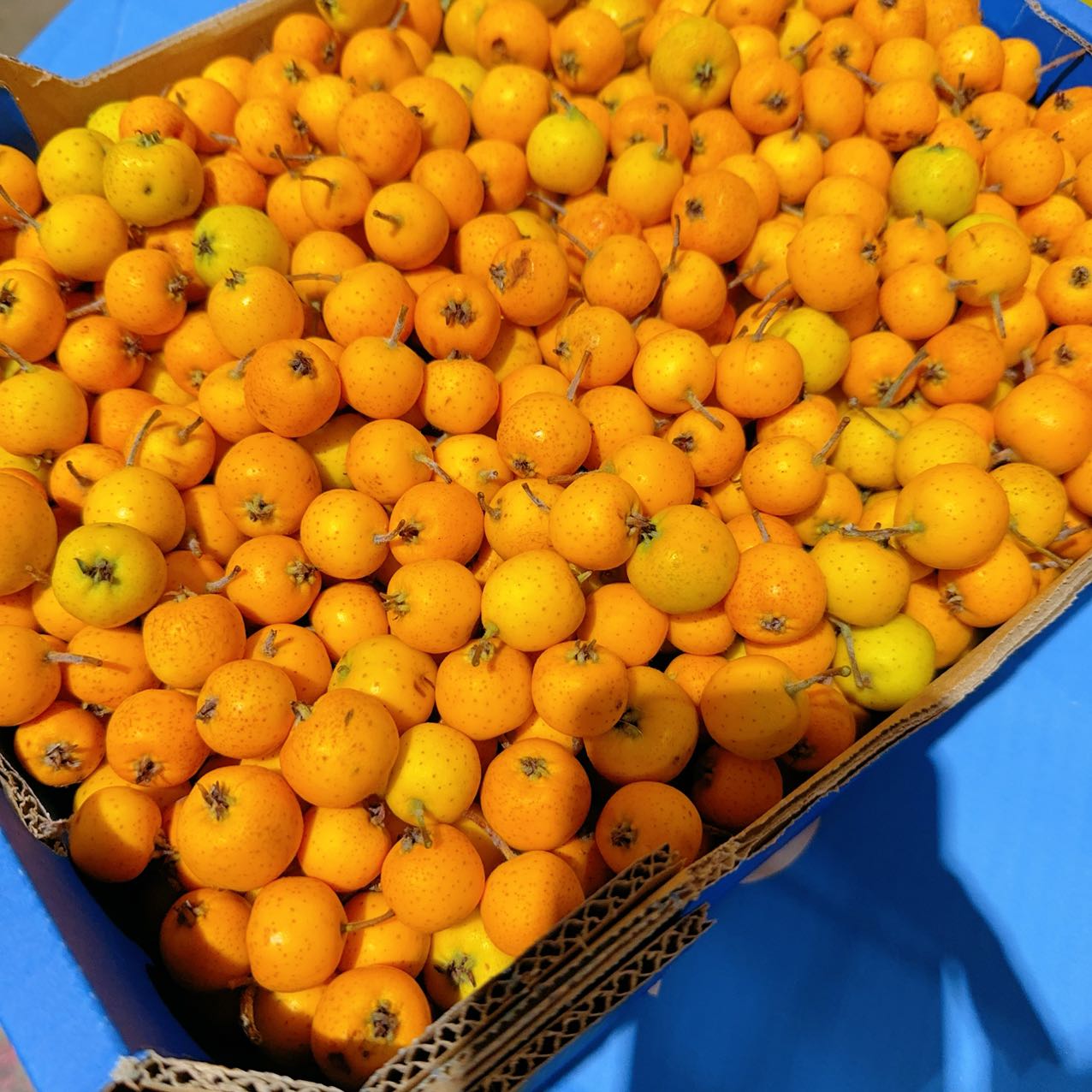 Rare-Yellow-Crabapples---300g-1