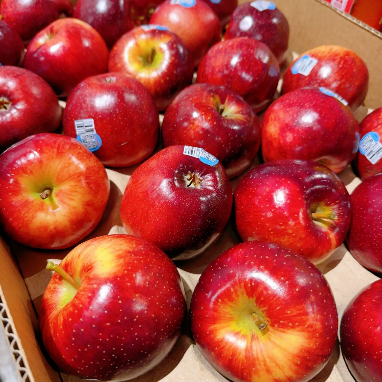 bravo-apples-1kg-1