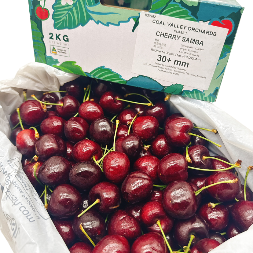 Tasmanian-Samba-Cherries-Gift-Box-30mm+---2kg-1