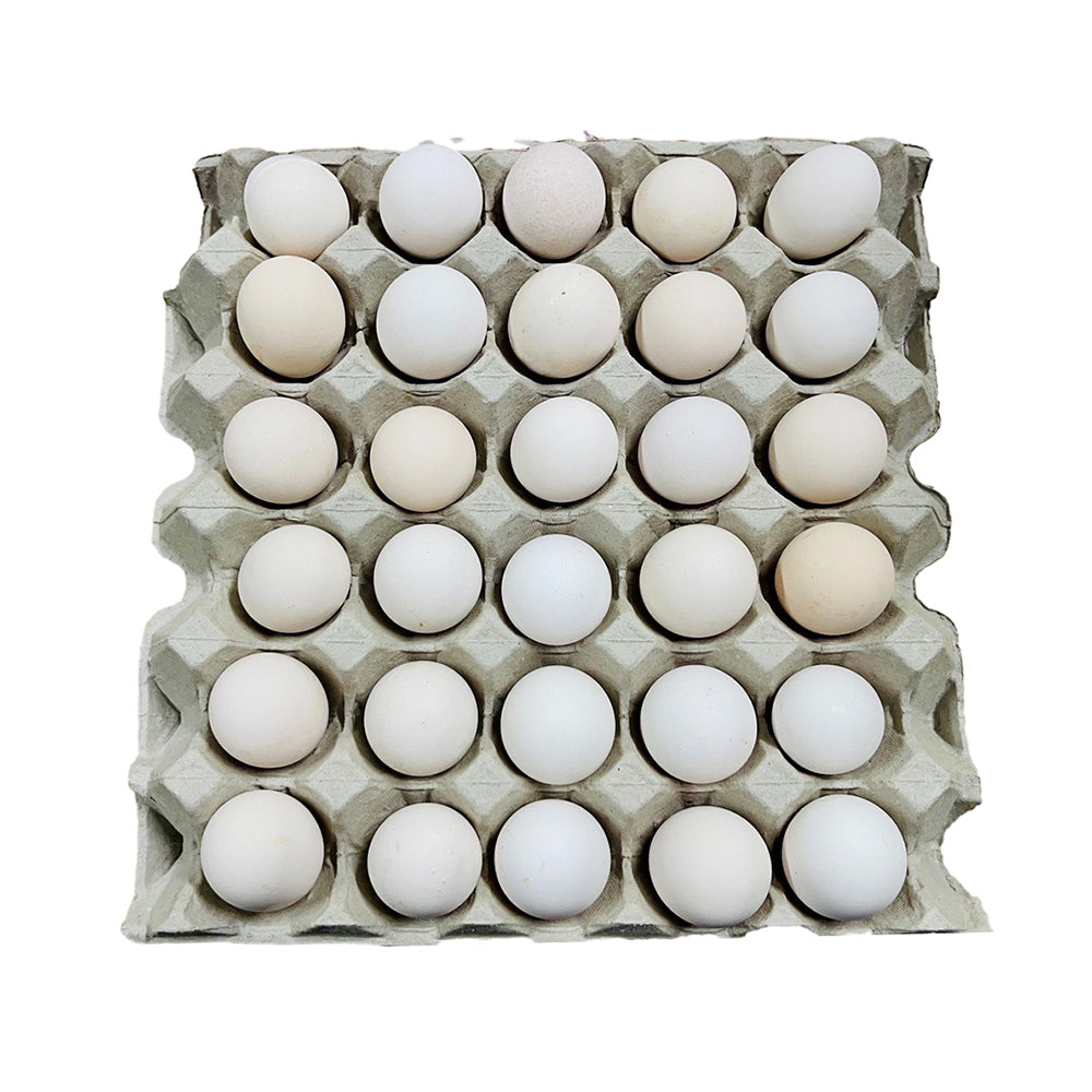 Select-Baby-Chick-Eggs-30pcs-1.25kg-1