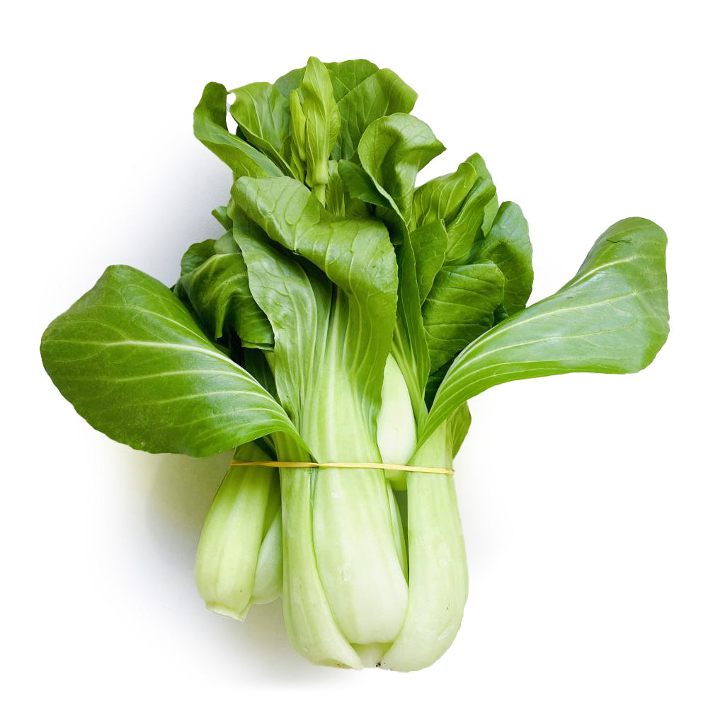 Hydroponic-Shanghai-Bok-Choy-Bunch-1