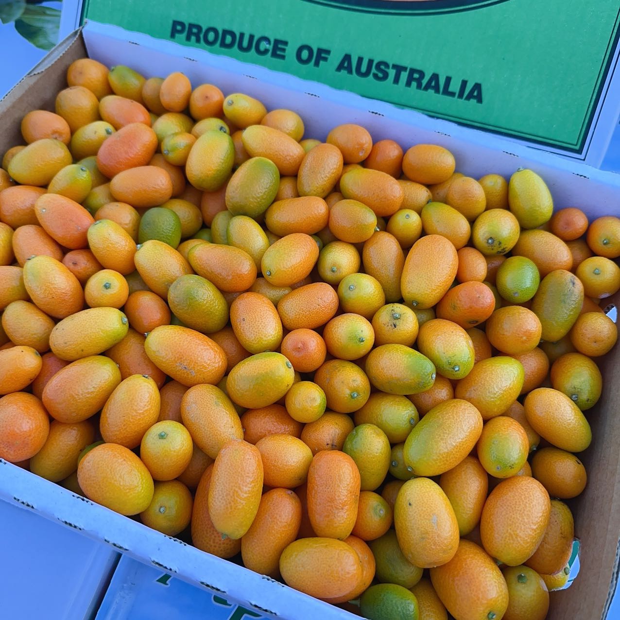 fresh-super-sweet-kumquats-approximately-500g-1