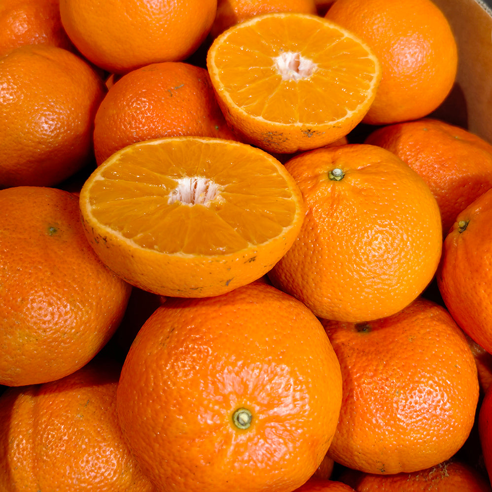 Maogu-Tangerines---Box-of-18kg-1