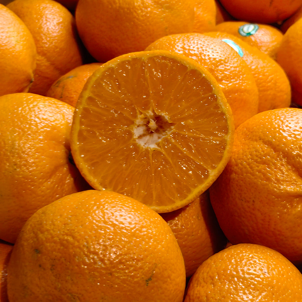 Maogu-Tangerines---Box-of-18kg-1