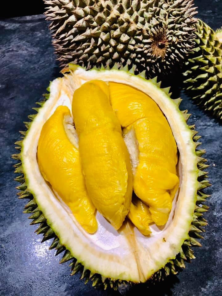 D197-Premium-Malaysian-Musang-King-Durian---1.4-1.6kg-1