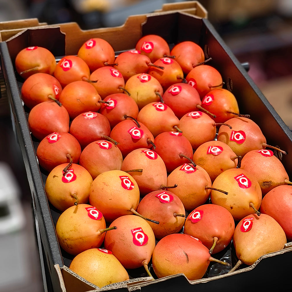 Piqa-Boo-Ruby-Pears---6kg-Box-1