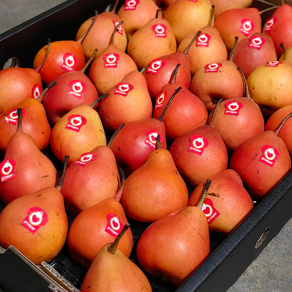 piqa-boo-ruby-pears-1-1-1kg-1