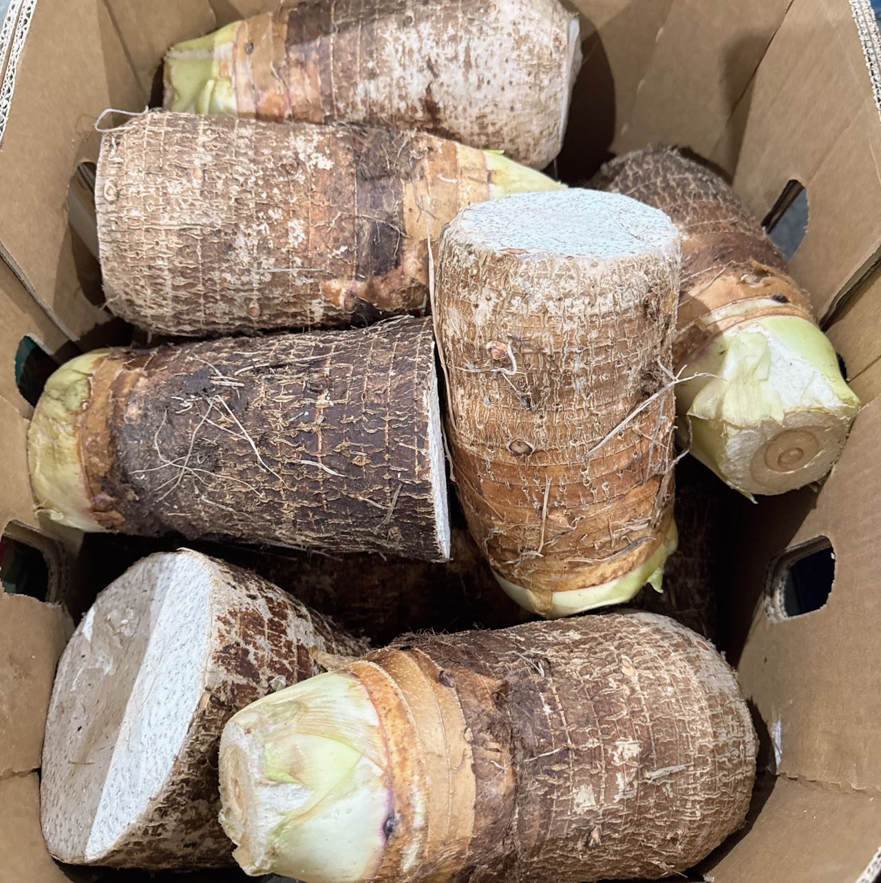 [Fresh]-Taro-Root-Approximately-1kg-1