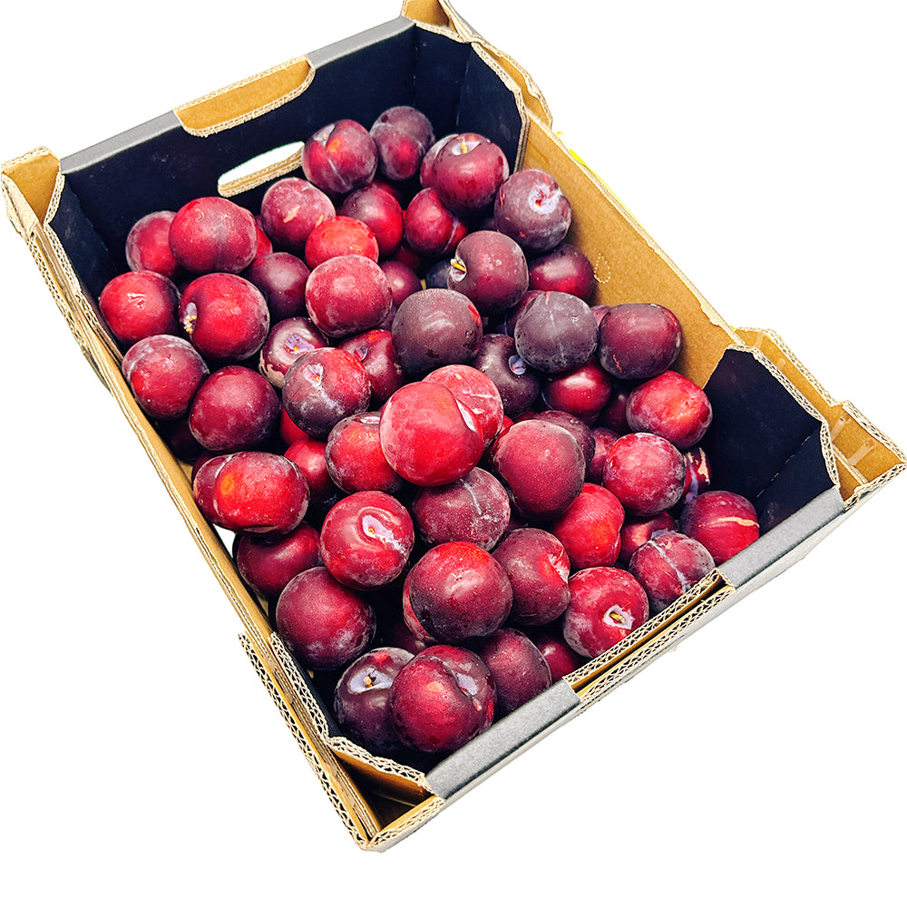 Fresh-Plums---500g-1