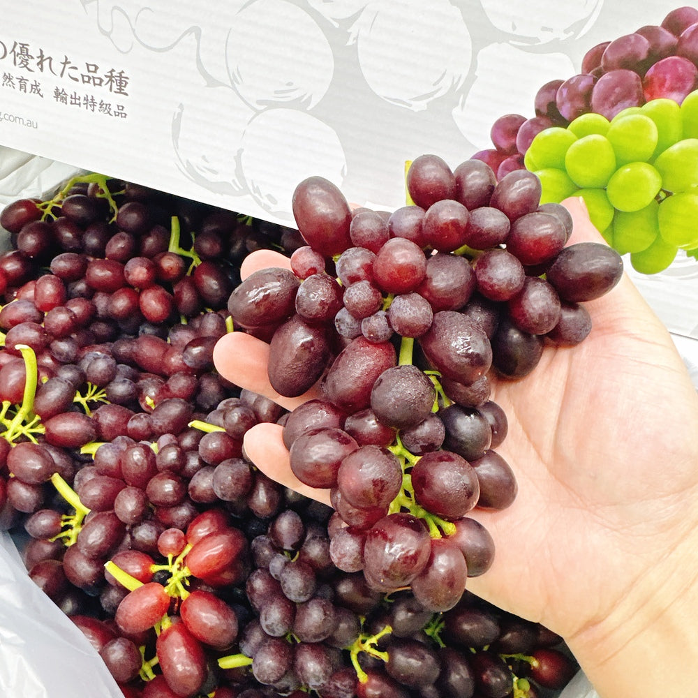 Japanese-Black-Muscat-Grapes---Box-of-3kg-1