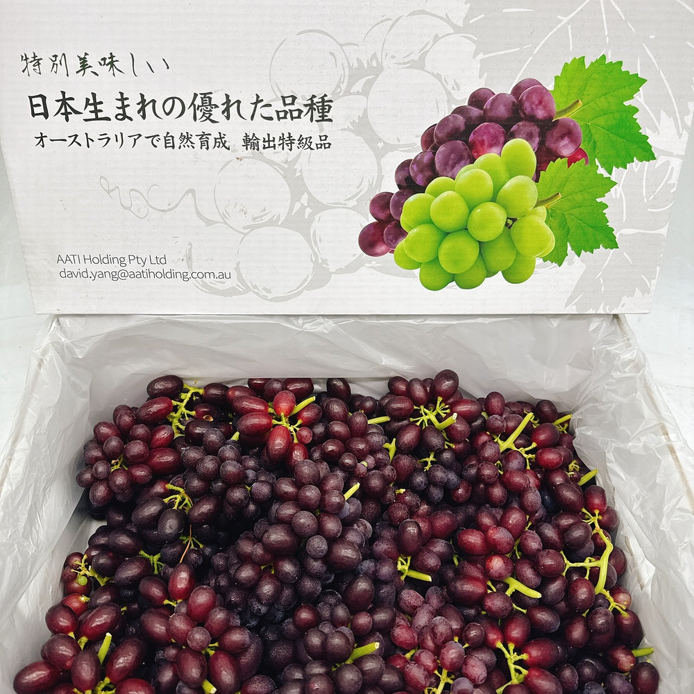 Japanese-Black-Muscat-Grapes---Box-of-3kg-1