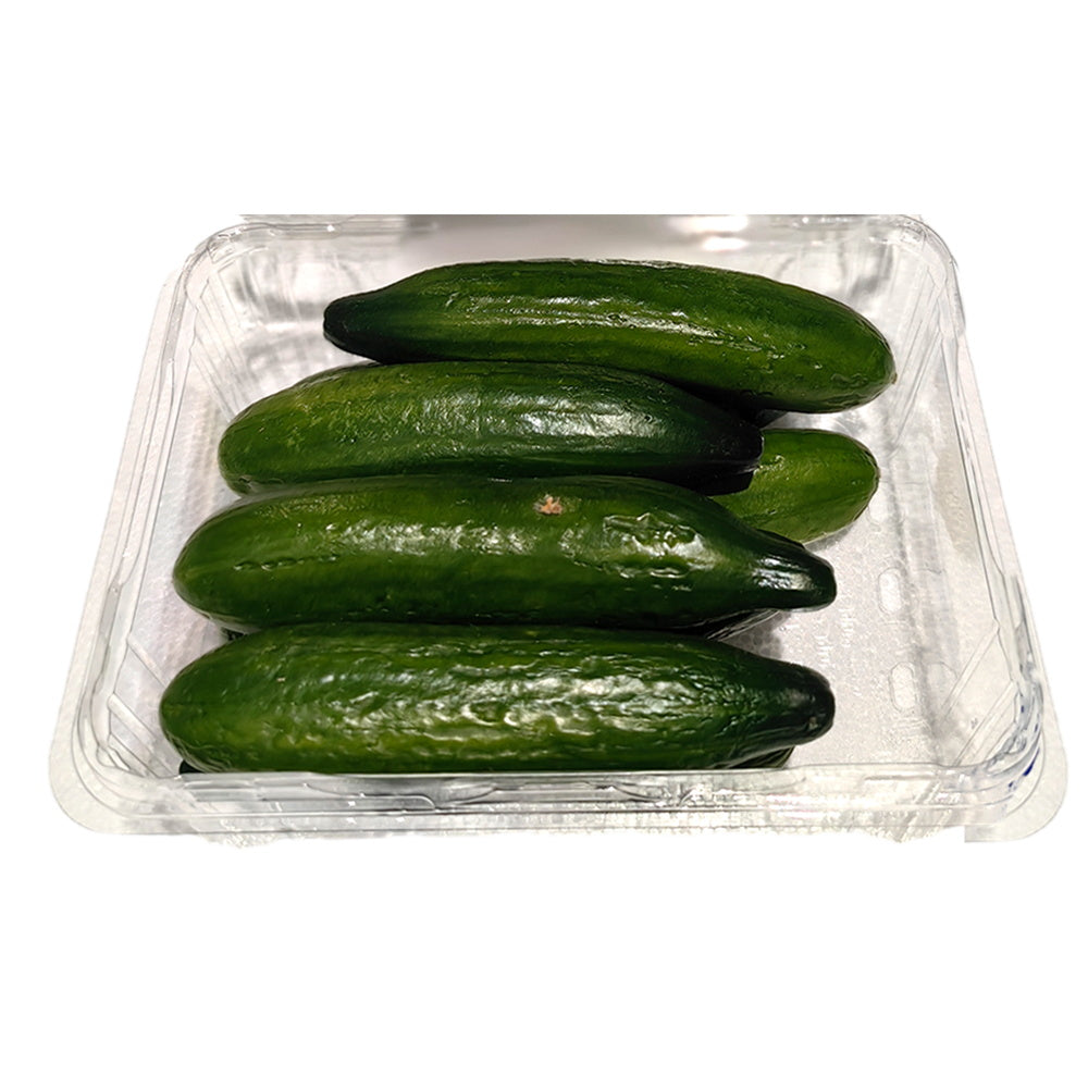 Fresh-Mini-Cucumbers---500g-1