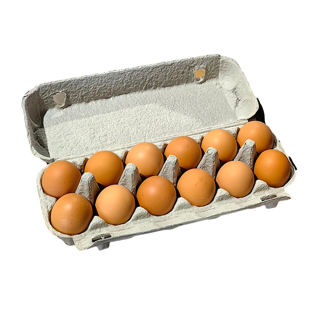 Farm-Fresh-Cage-Eggs-XL-Size---Pack-of-12-(700g)-1