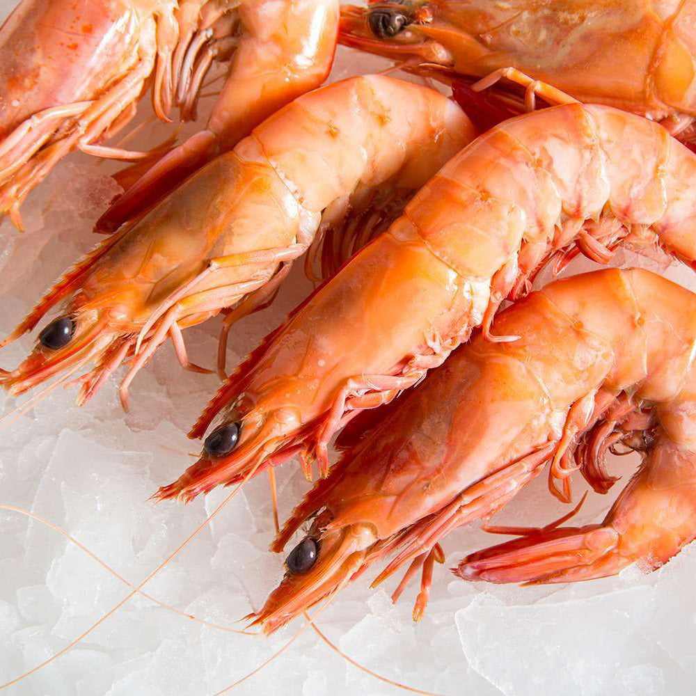 Eastern King Prawns Cooked U10 Whole 1kg (Frozen) – Delish Deliveries