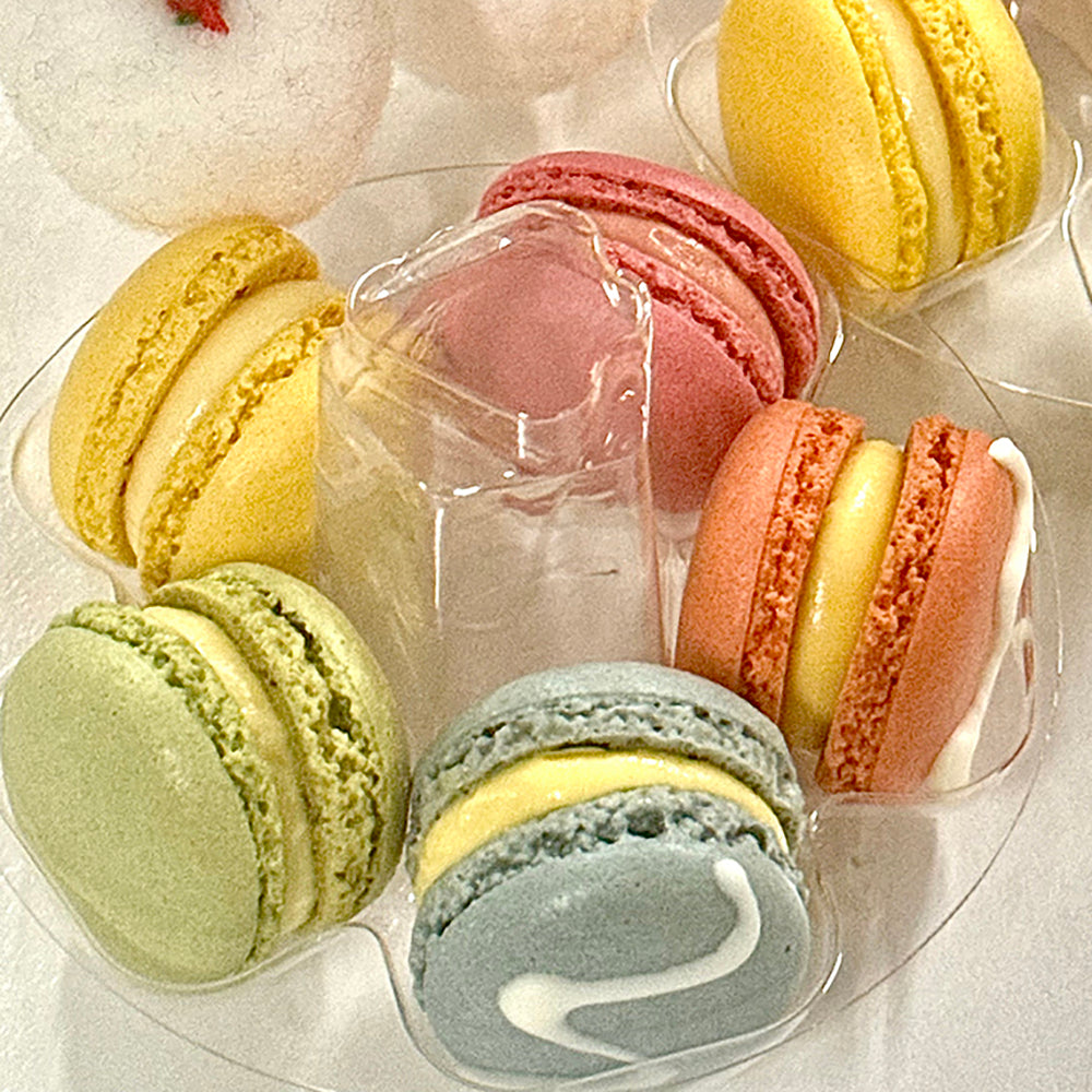 G-LAB-Mini-Macaron-Tub---10-Pieces-1