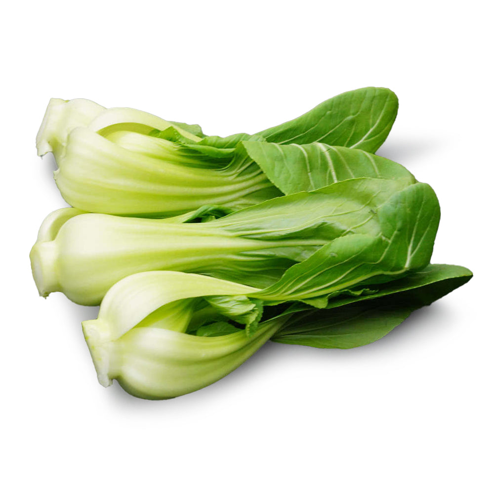 Hydroponic-Shanghai-Bok-Choy-Bunch-1