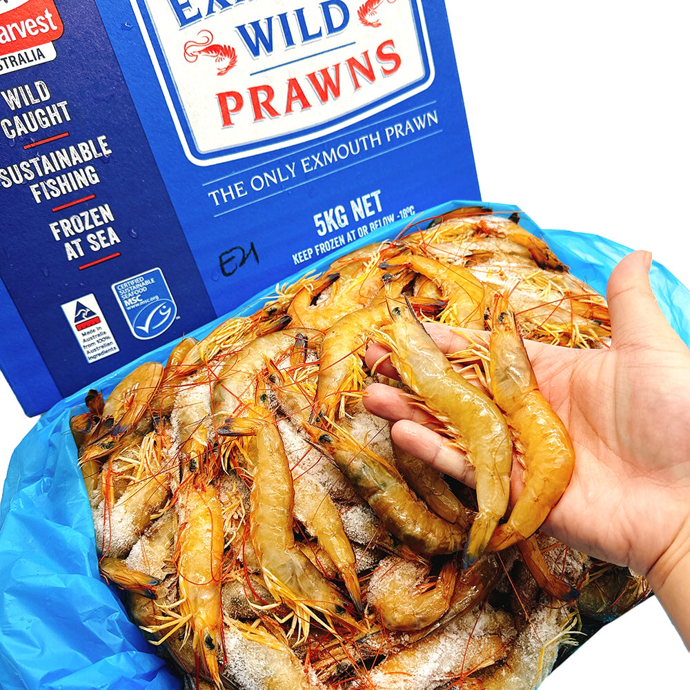 Exmouth-Wild-Caught-Prawns-U21/30---5kg-Box-1