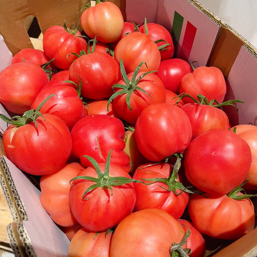 Fresh-Small-Oxheart-Tomatoes---1kg-1