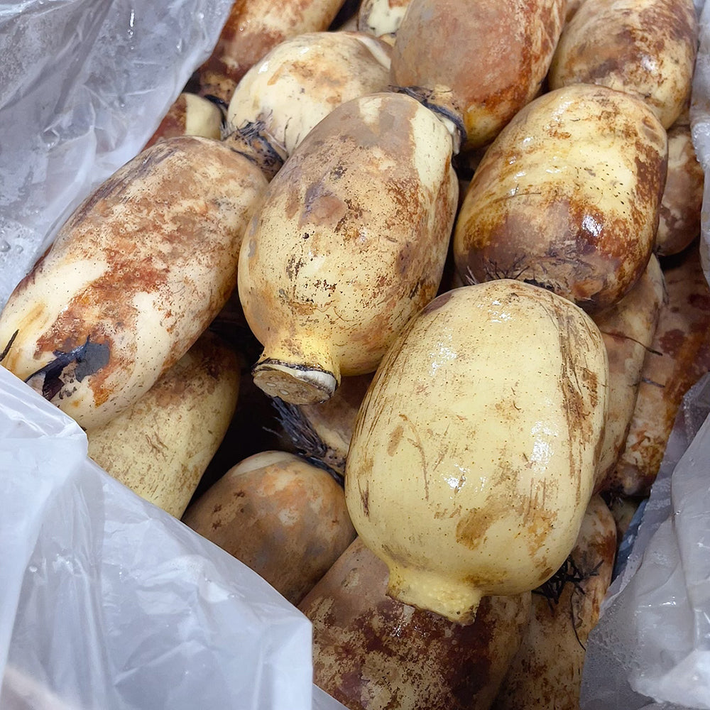 Fresh-Lotus-Root---1.3-1.5kg -1