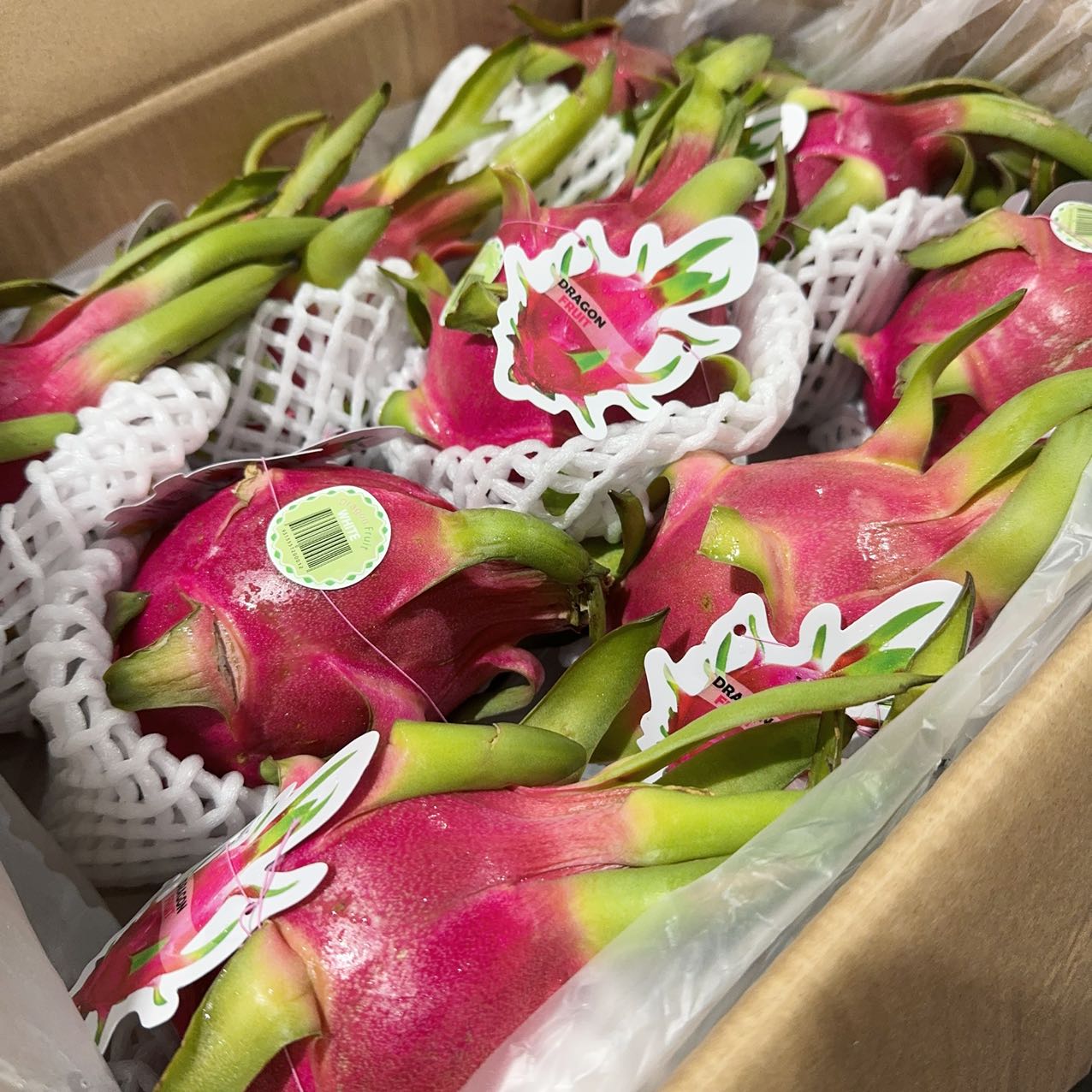 Dragon-Fruit-White-Each-1