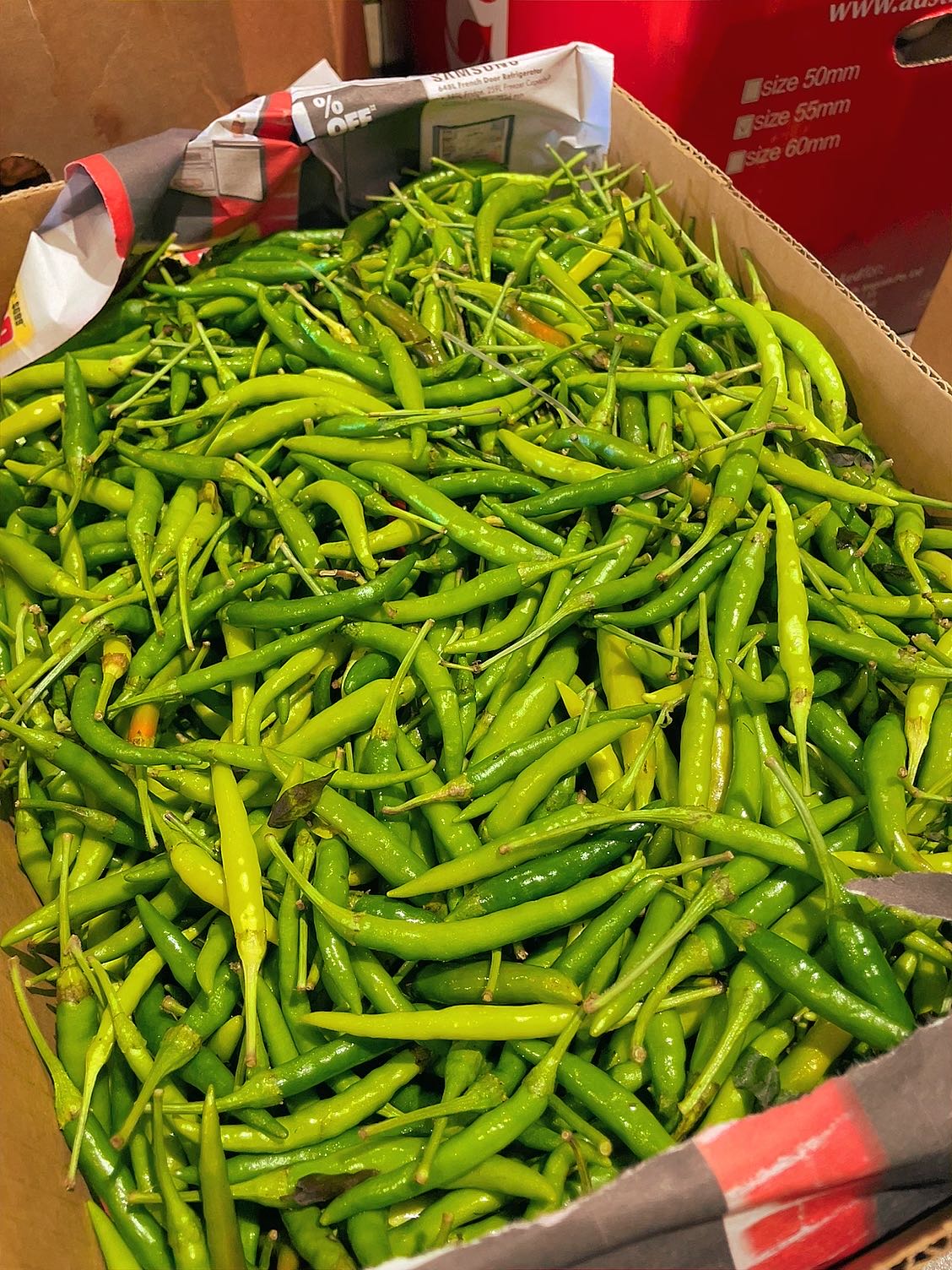 fresh-thai-green-chilli-approximately-150g-1