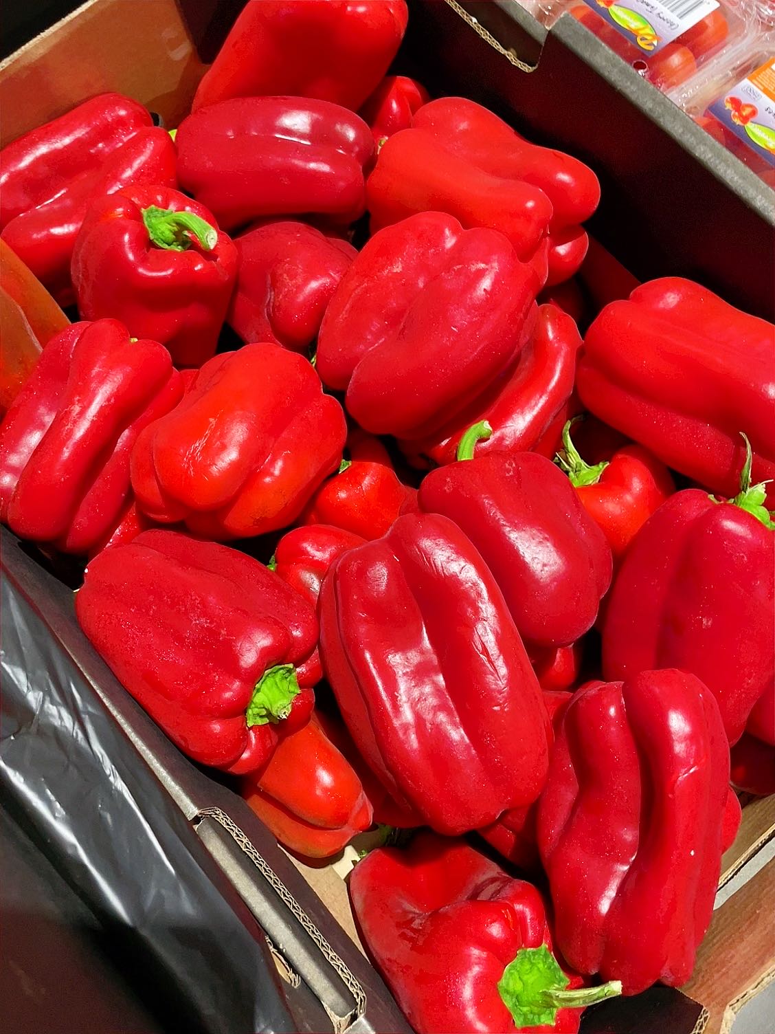 [Fresh]-Red-Lantern-Peppers---Pack-of-3-1