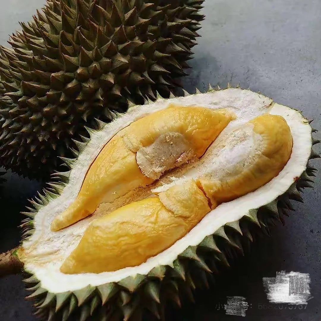 Dking-Frozen-D163-Gourd-Durian---2-2.2kg-1