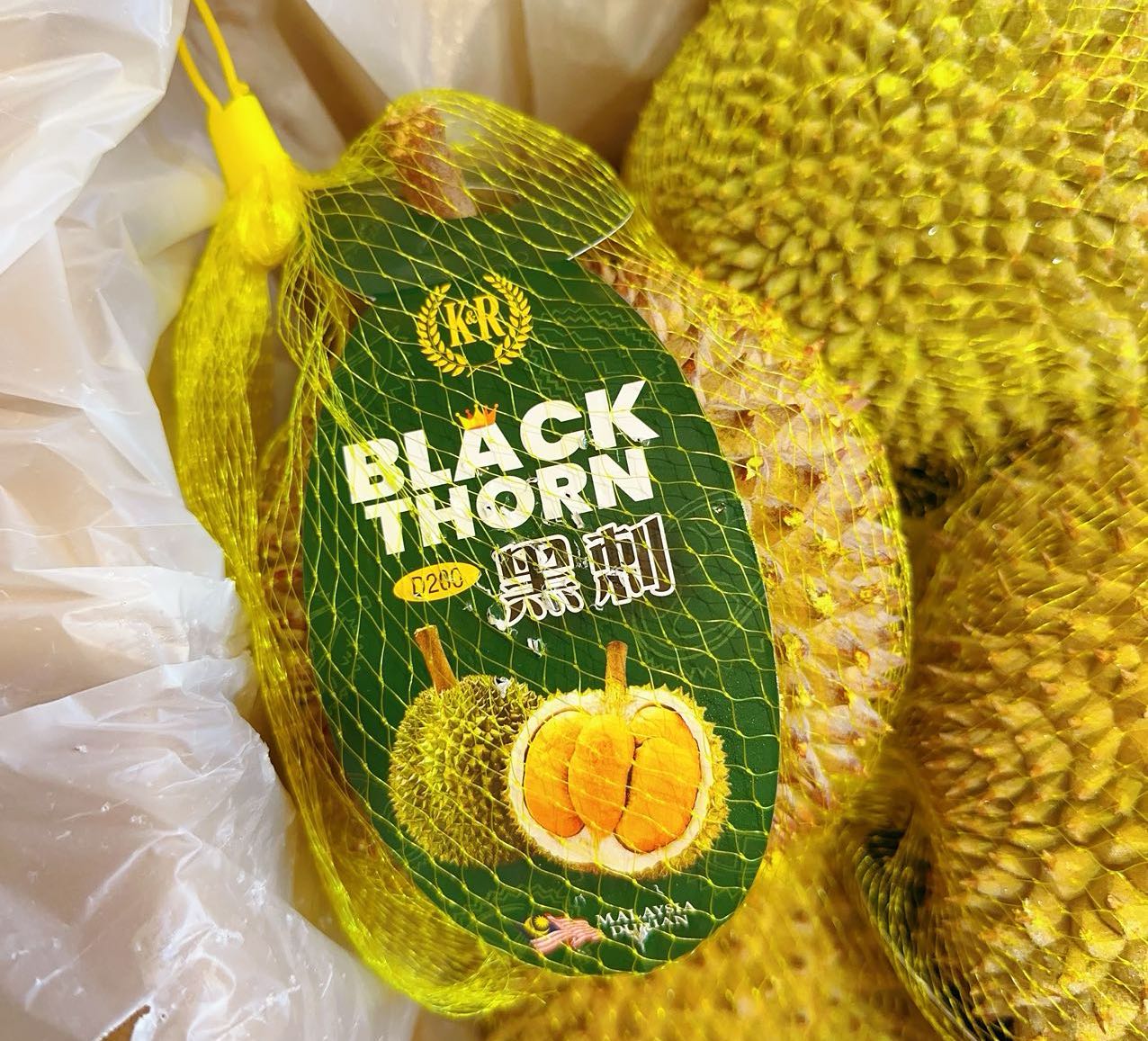 Frozen-Netted-D200-Black-Thorn-Durian---1.2-1.4kg-1