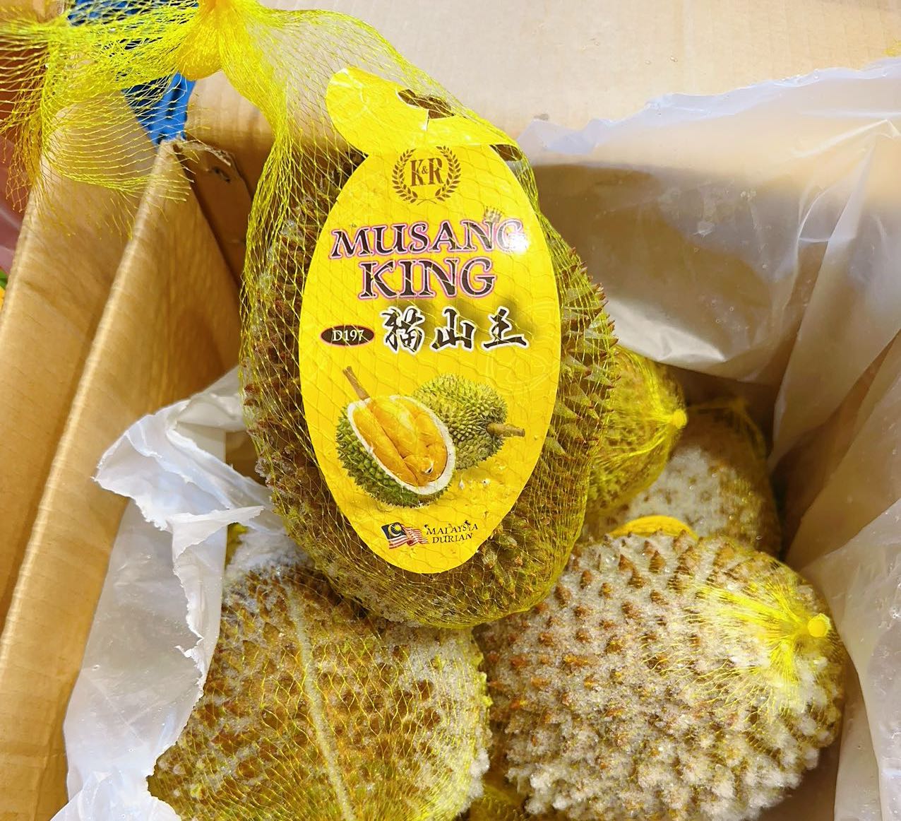 Frozen-Netted-D197-Musang-King-Durian---1.8-2kg-1