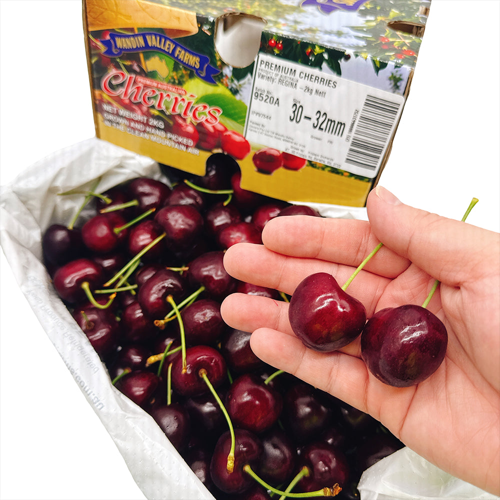 WVF-Export-Premium-Regina-Cherries-30-32mm-Gift-Box-2kg-1