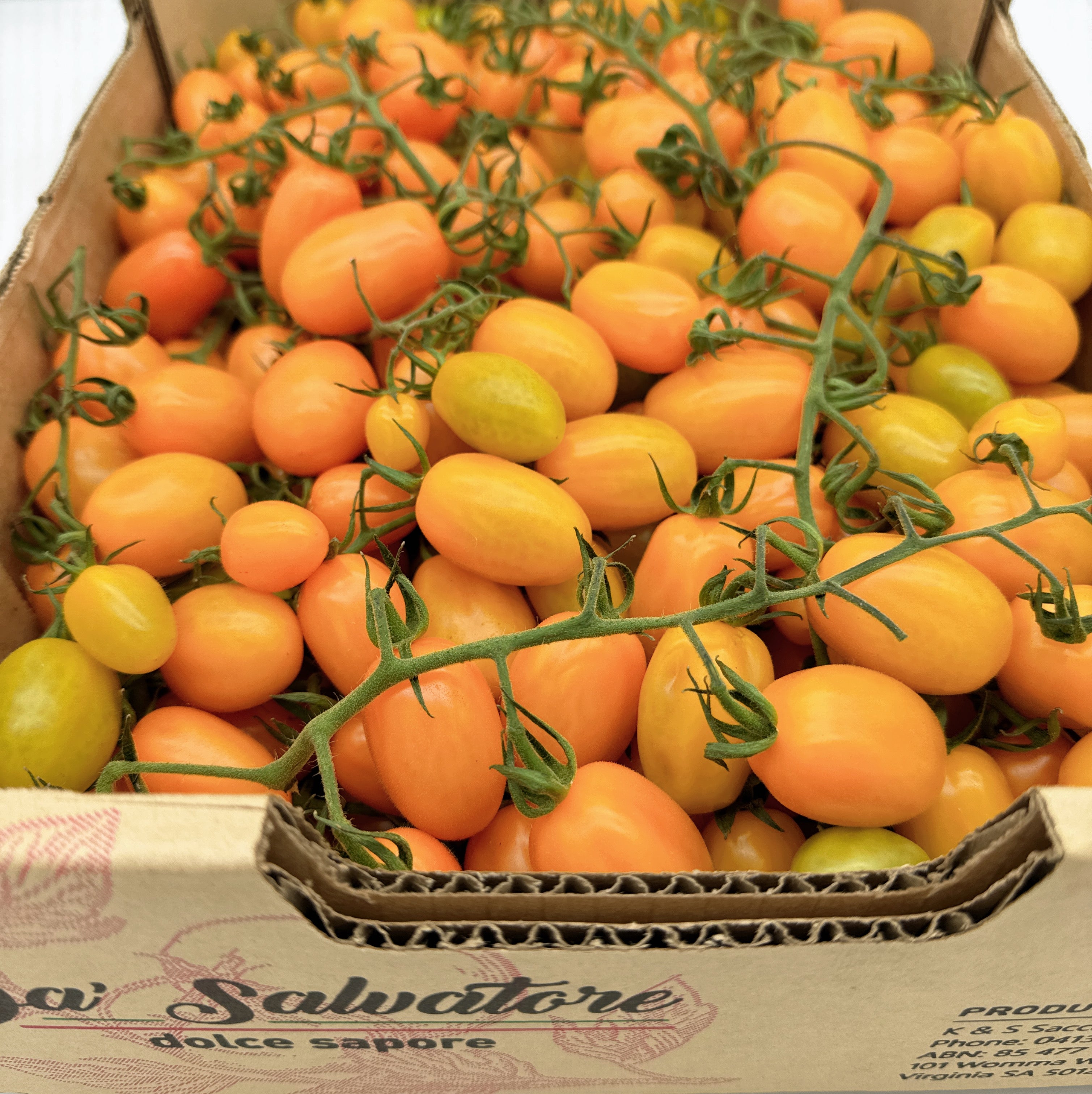 Yellow-Vine-Tomatoes---Box-of-5kg-1