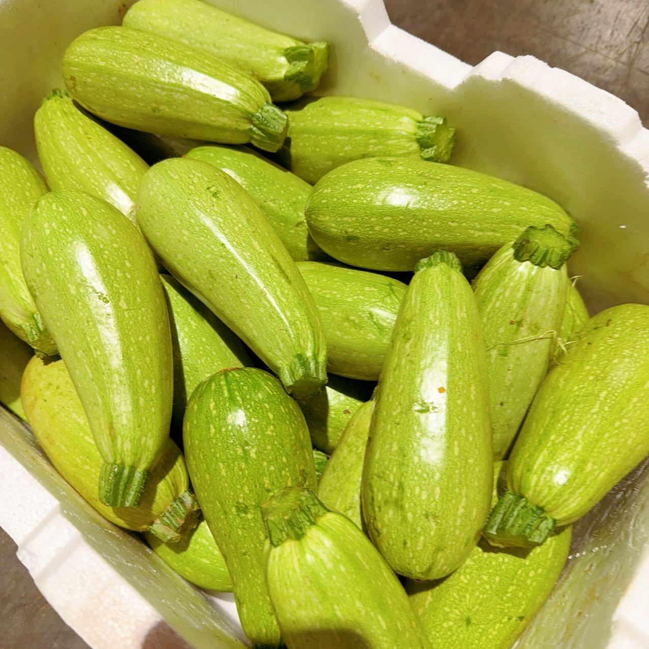 Light-Green-Zucchini---1kg -1