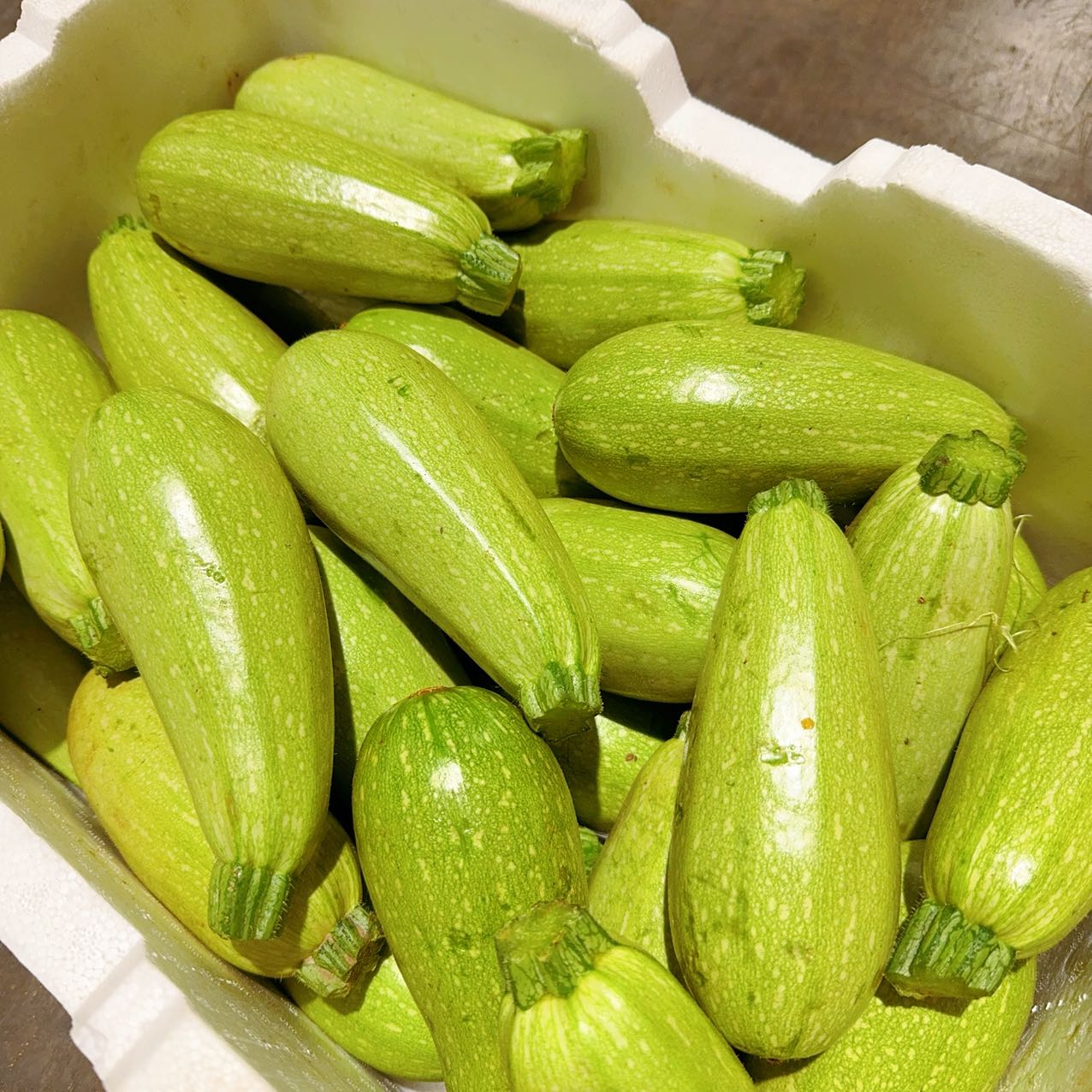 light-green-zucchini-1kg-1