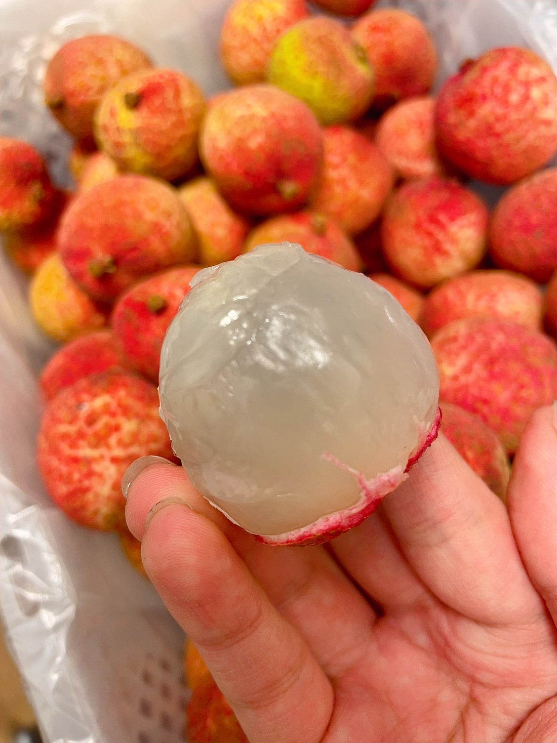 Fresh-Lychee---400g-1