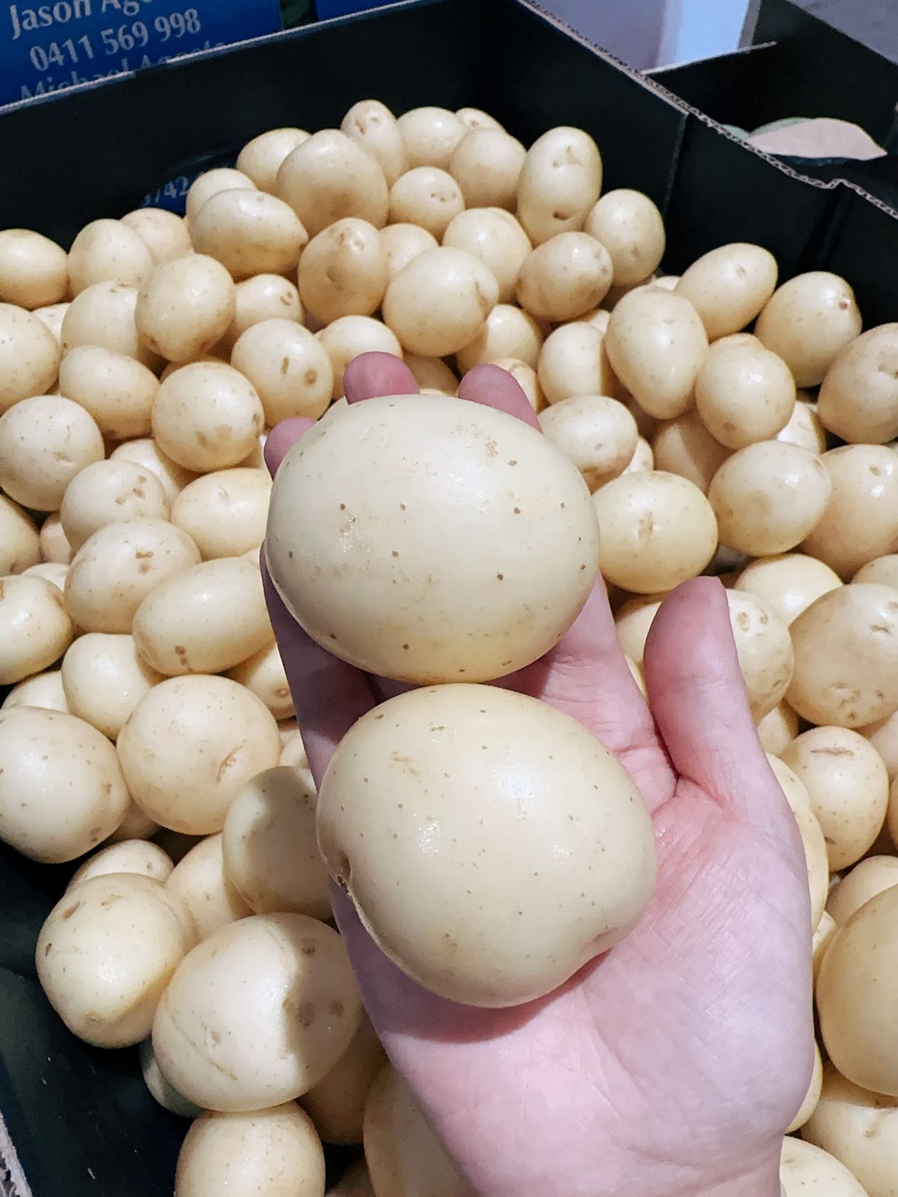 small-potatoes-800g-1