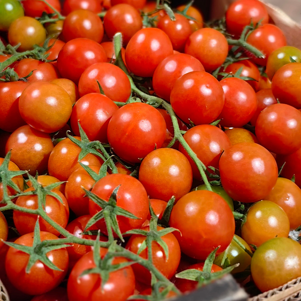 Super-Sweet-Roma-Cherry-Tomatoes---500g-1