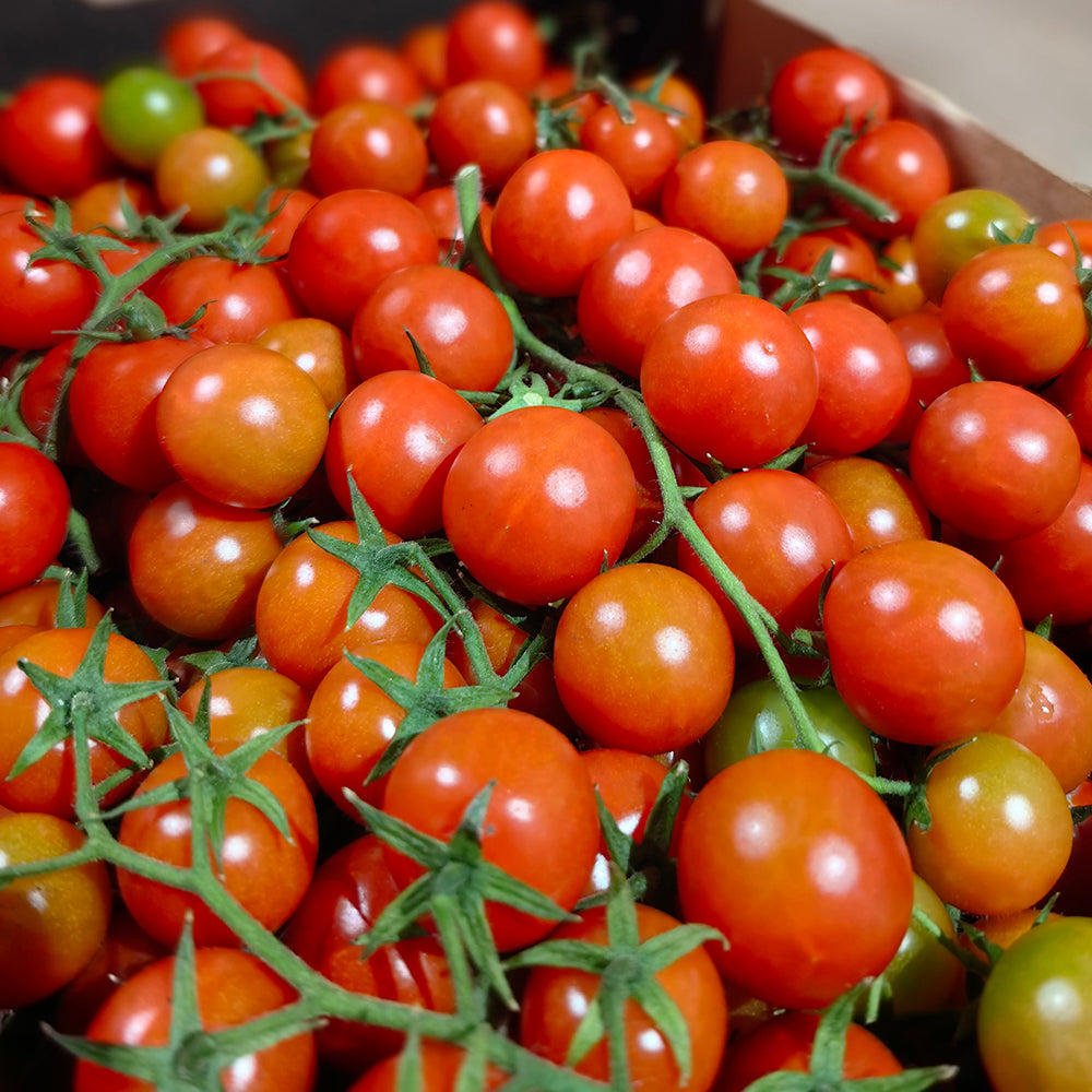 Super-Sweet-Roma-Cherry-Tomatoes---500g-1