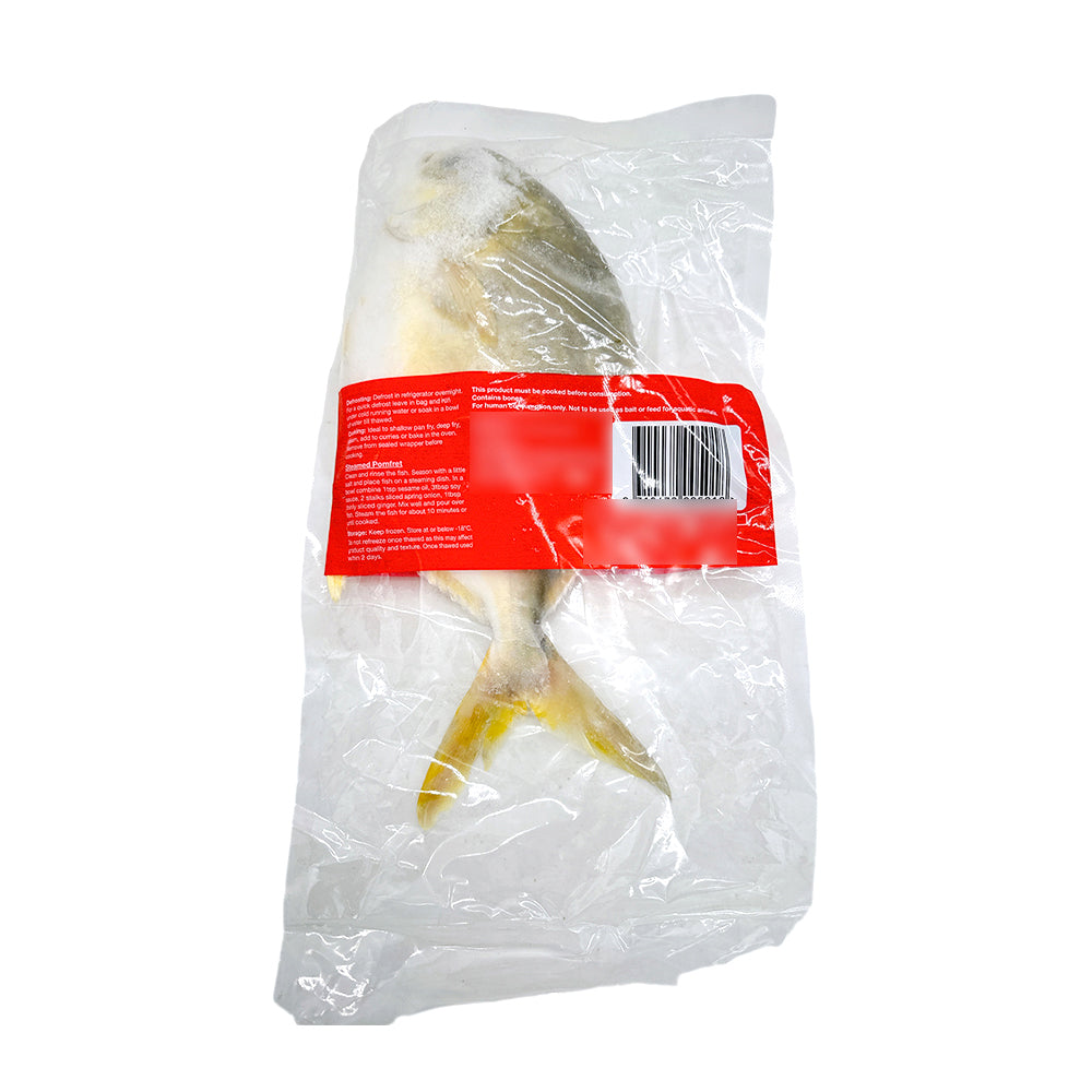 Hanabi-Frozen-Golden-Pomfret---500g-1