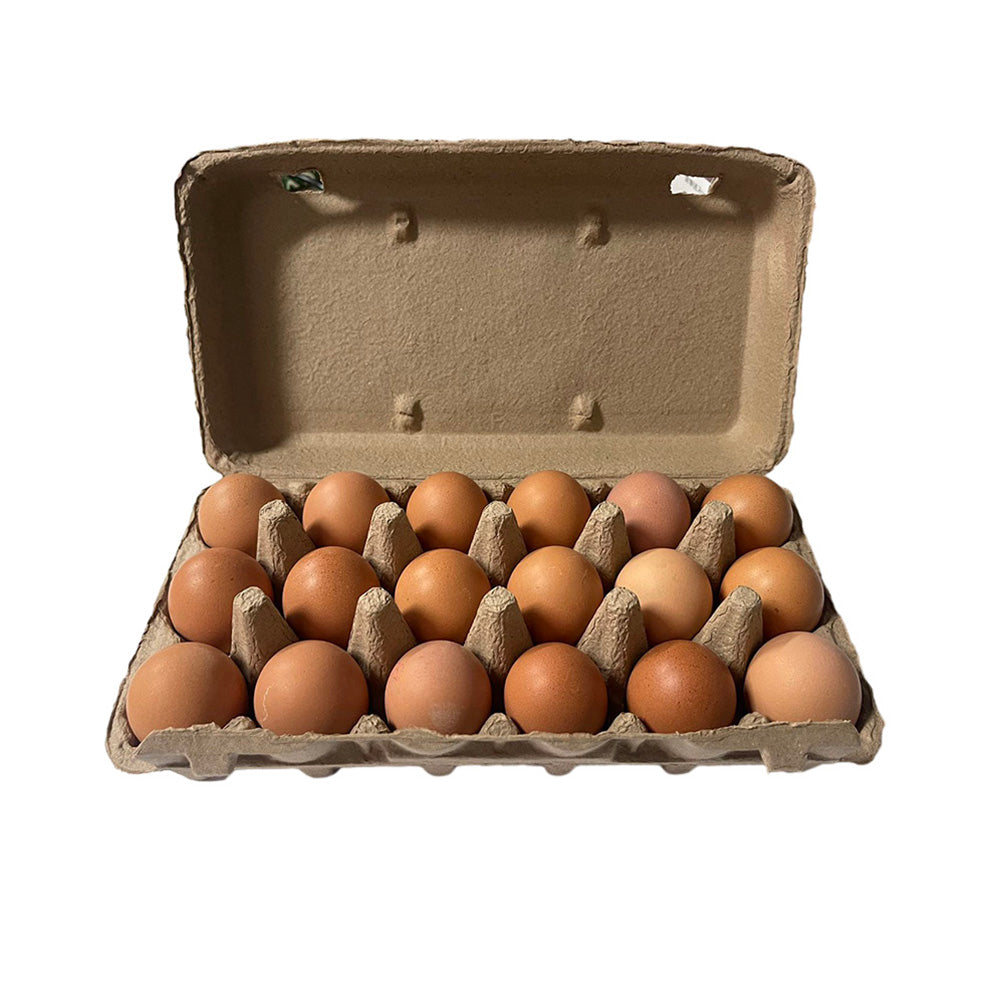 Canobolas-Free-Range-Eggs-18pcs-1kg-1