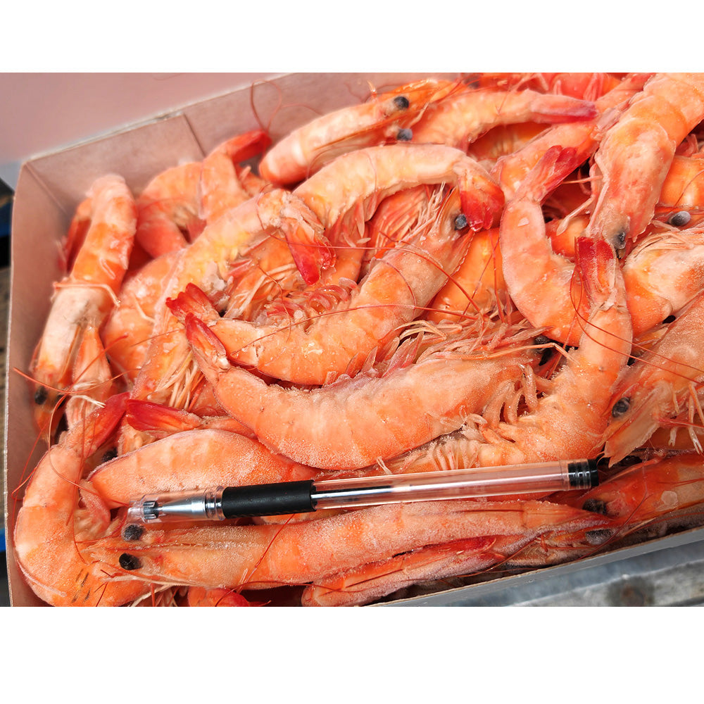 Saudi-Arabia-Red-Sea-Premium-Sweet-Shrimp-Size-30/40---2KG-Box-1