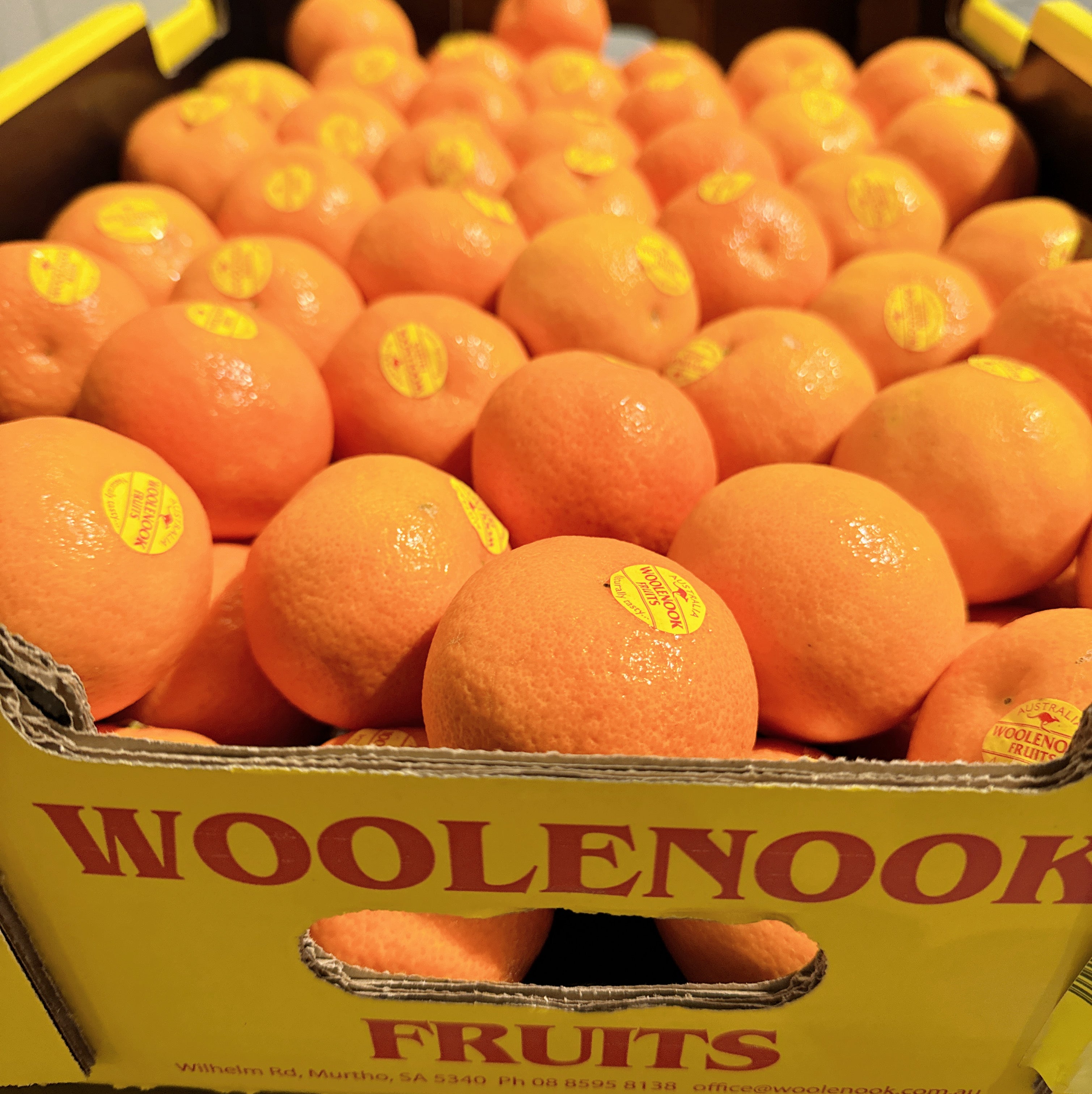 Woolenook-Super-Sweet-Clementines---9kg-Box-1