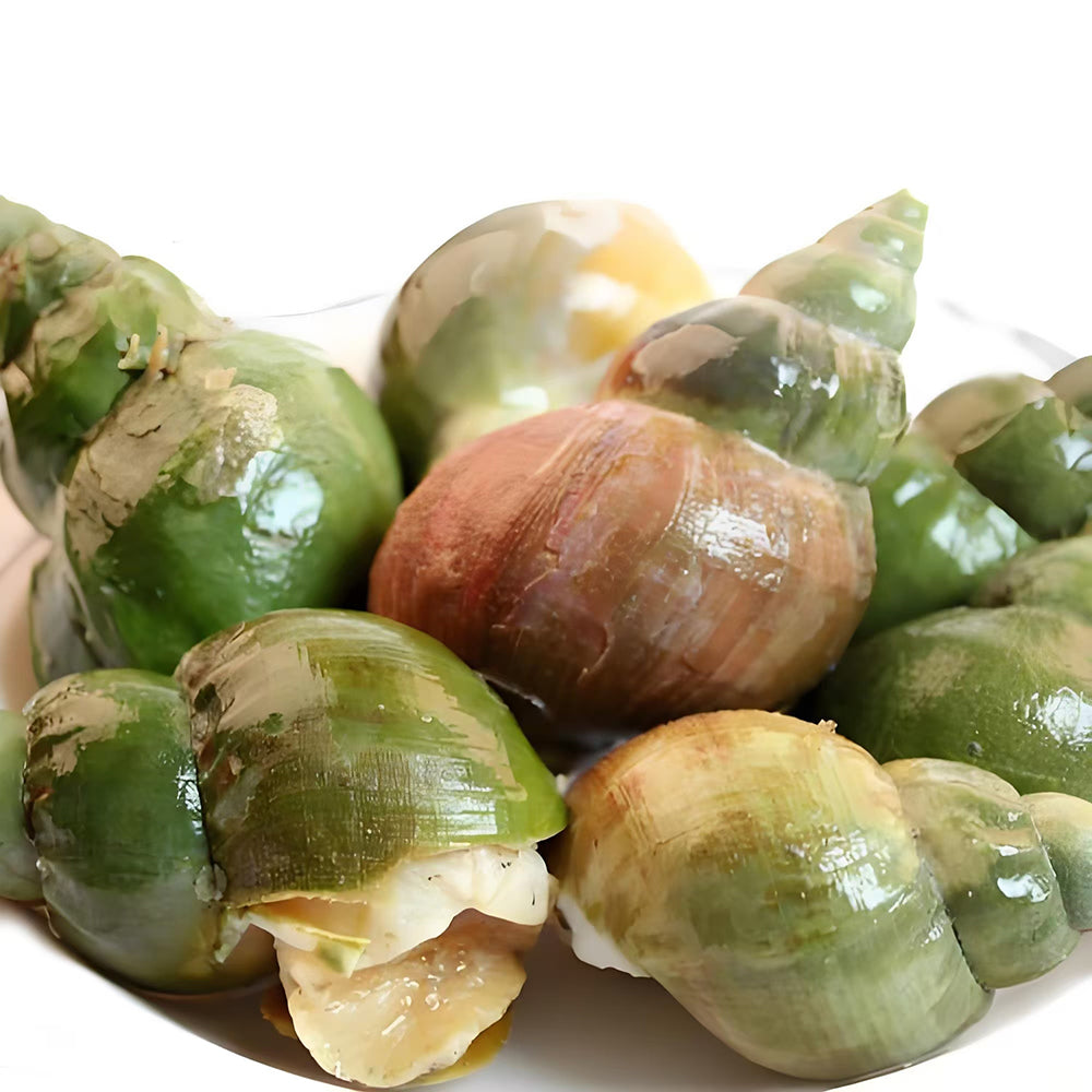 Oceans-888-Frozen-Steamed-Pila-Snail---1kg-1