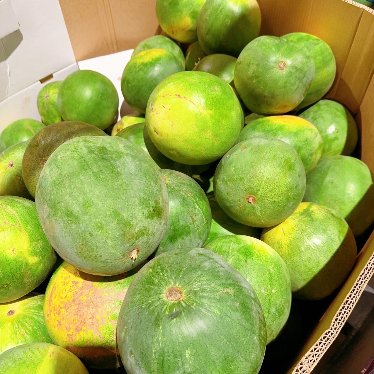 [Fresh]-Watermelon-2-3kg--1