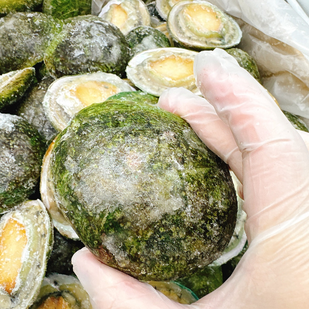 Frozen-South-Australian-Greenlip-Abalone---10-11-Pieces,-900-1000g-1